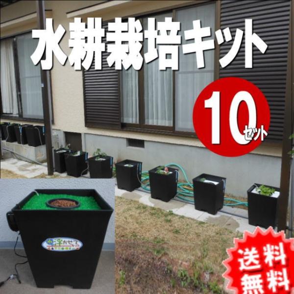 水耕栽培キット水に浮かせて野菜を育てる「浮かせてキット 10セット」お手軽&簡単に家庭菜園!初心者ガーデニング!収穫の歓び!手軽に菜園生活! 栽培キット 水耕栽培器 Cupid farm R-farm MAX 850 自家菜園 無農薬 有機栽培 野菜作り