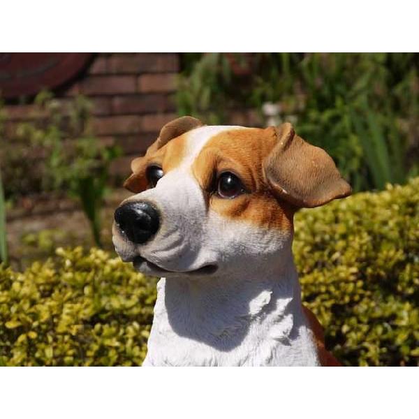 犬の置物 リアルサイズのレジンDOG ジャックラッセルテリア H38