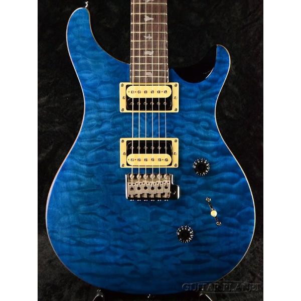 Paul Reed Smith SE Custom 24 with Birds & Beveled Quilt Maple Top 
