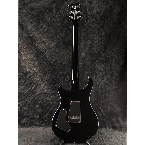 Paul Reed Smith SE Custom 24 with Birds & Beveled Quilt Maple Top 