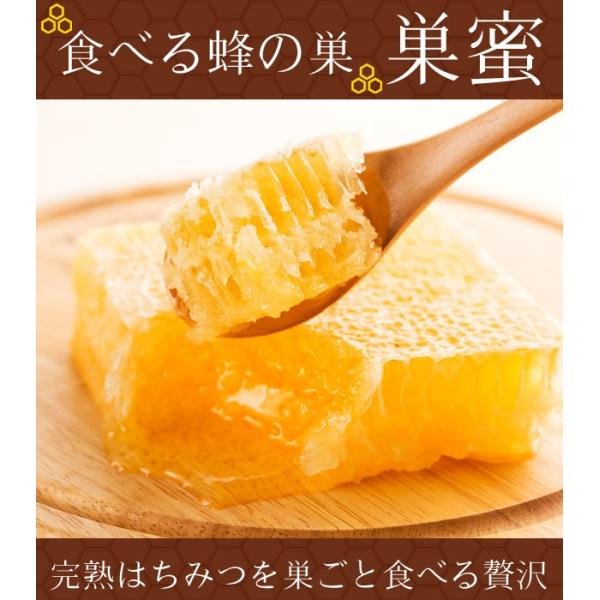 ギフト はちみつ 蜂蜜 ハチミツ 食べる蜂の巣 巣蜜（コムハニー