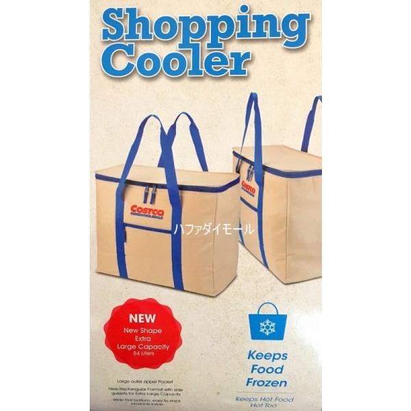 Costco cooler 2025 bag 2019