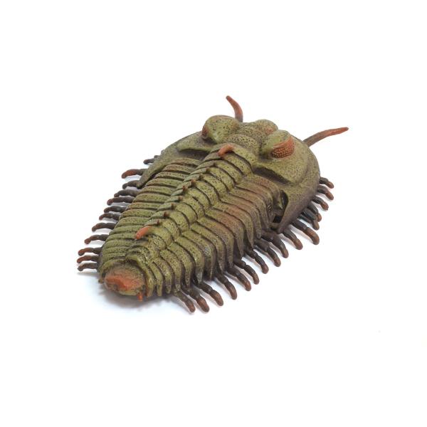コレクタ 古生代生物フィギュア 88906 レドリキア レックス 三葉虫