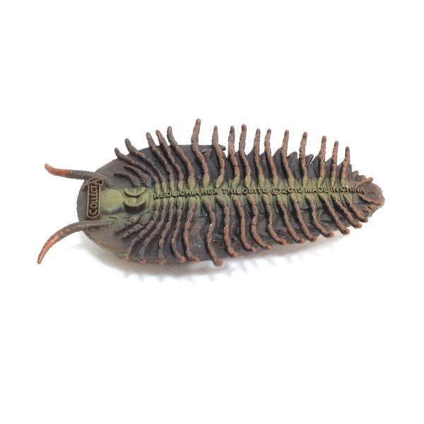 コレクタ 古生代生物フィギュア 88906 レドリキア レックス 三 コレクタ 古生代生物フィギュア 88906 レドリキア レックス 三