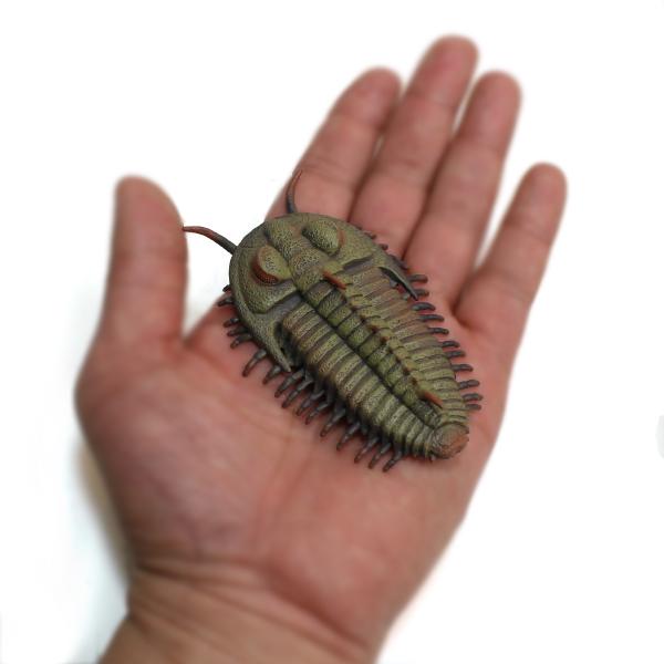 三葉虫 フィギュア 国立科学博物館 三葉虫 セロウリネラ フィギュア