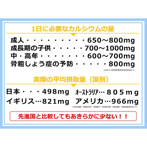 エルイオンカルシウム8910　6本食品/飲料/酒