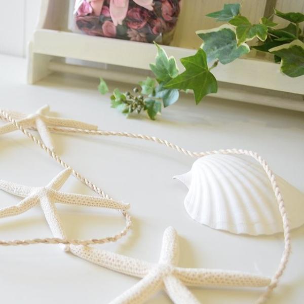 シェルガーランド スターフィッシュシェル 壁飾り オーナメント