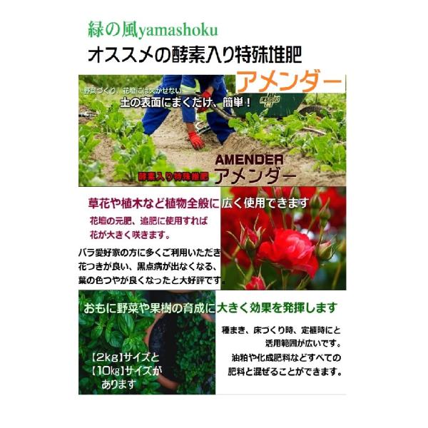 孔雀さん専用 1617766.jpg?zoom=spacing