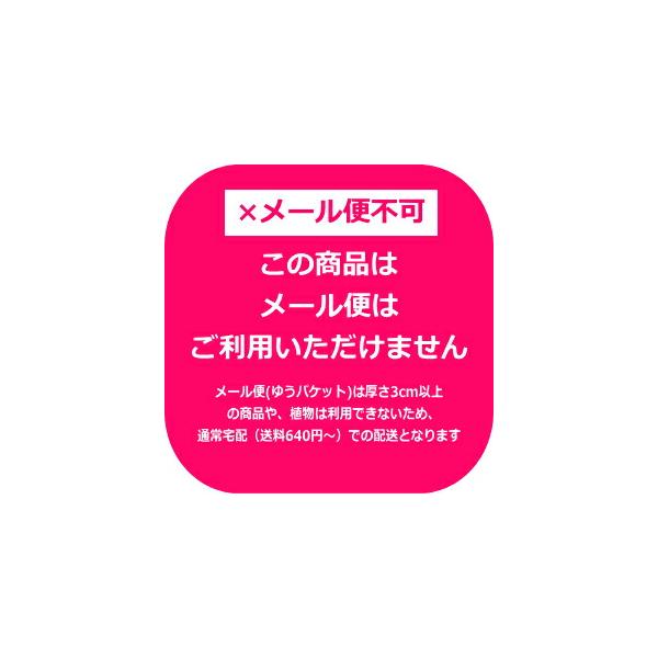 【中晩生】玉ねぎ苗▼ターザン1000本 中晩生】玉ねぎ苗◇ターザン1000本 タマネギ苗の通販 | 苗の価格