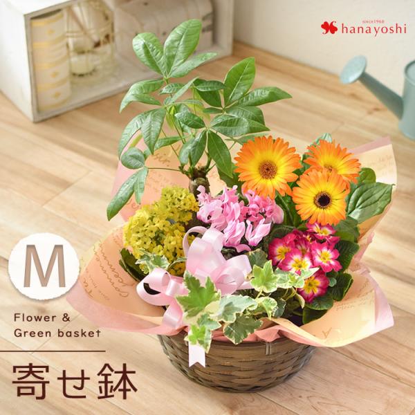 季節のおまかせ 花鉢 とグリーンの寄せ入れ Mサイズ フラワー
