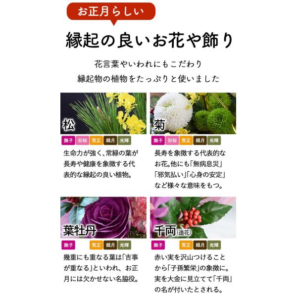 12/28〜31の間でお届け】正月飾り 正月 生花アレンジメント 5種 12/28〜31の間でお届け】正月飾り 正月 生花アレンジメント 5種