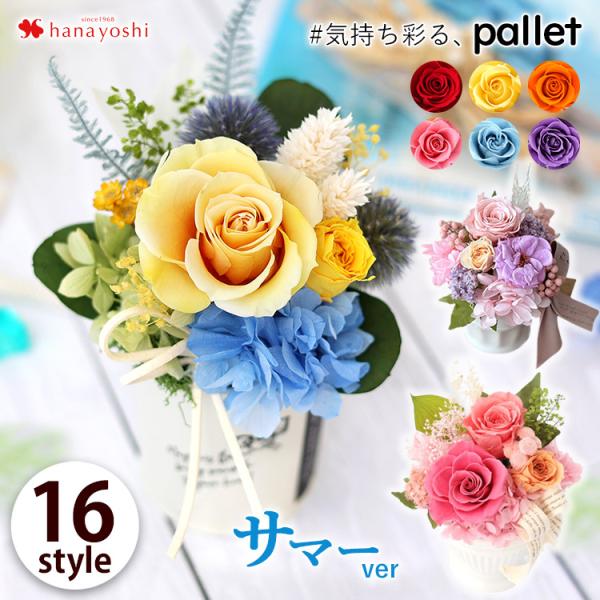 ロゼサンドラ3P RH536 極美品