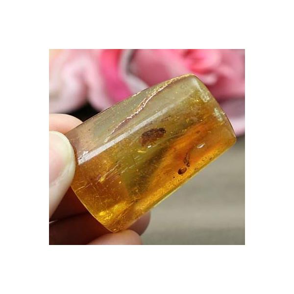 激レア！！羽毛入りビルマ琥珀 超激レア》虫入り(赤目のゴキブリ)琥珀(コーパル) コロンビア産