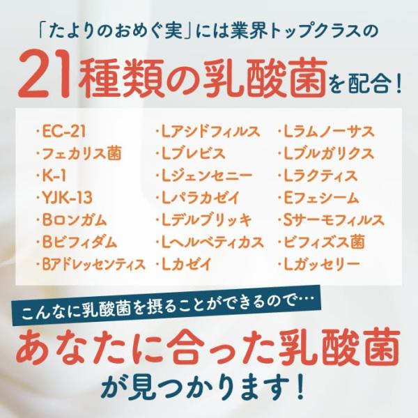 たよりのおめぐ実 ｜腸内フローラ サプリ 乳酸菌 ビフィズス菌 ラブレ菌 ケア 送料無料 62粒 /【Buyee】