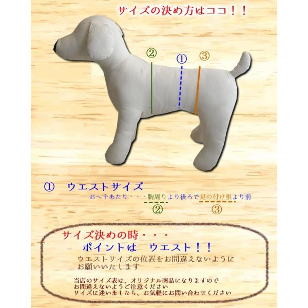 Harzth ハーズ マナーベルトおパンツ Xs マナーパンツ 犬 サニタリーパンツ マナーウェアー マナーベルト オス メス 男の子 女の子 オムツ カバー 日本製 /【Buyee】 Buyee Japanese Proxy Service Buy from Japan!