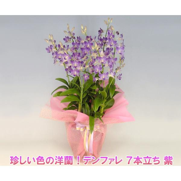 ムラサキ色様ご確認ページ ほどく