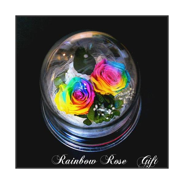 楽天・Amazon・Yahooランキング1位】2輪のレインボーローズ ドーム