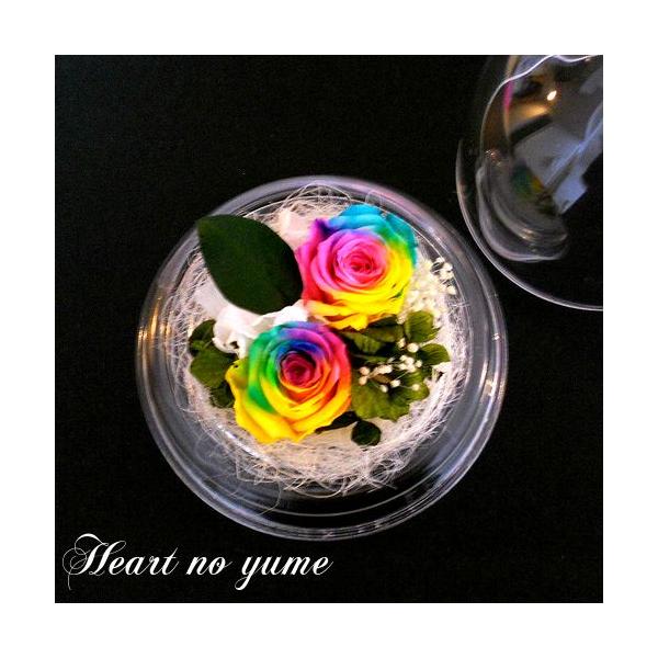 楽天・Amazon・Yahooランキング1位】2輪のレインボーローズ ドーム