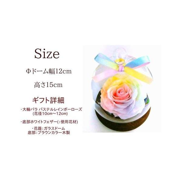 楽天ランキング1位】プリザーブドフラワーパステルレインボーローズ