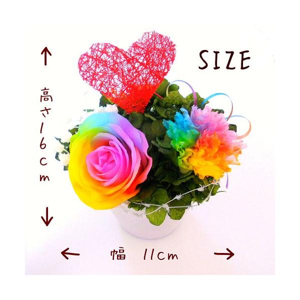 【高級プリザーブドフラワー】レインボーローズカーネーション　ハートギフト heartnoyumeshop_rb-25_2