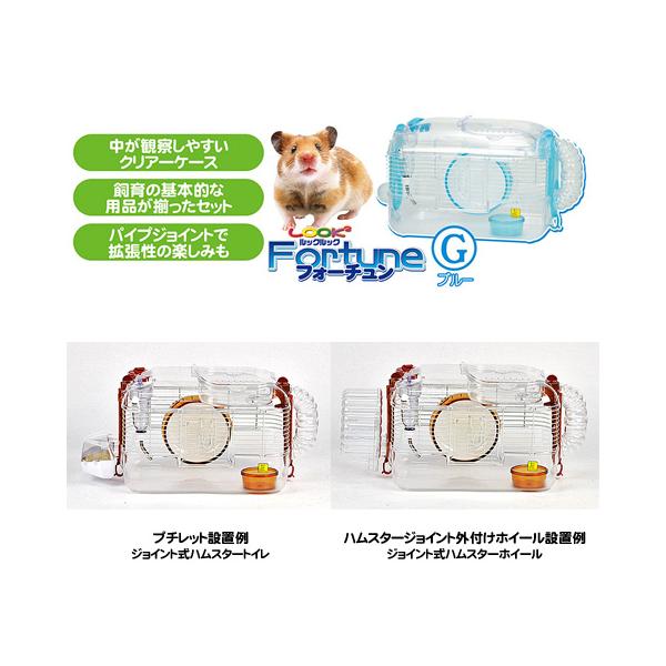 ドワーフハムスター用飼育キット C111 SANKO ルックルックfortune - その他