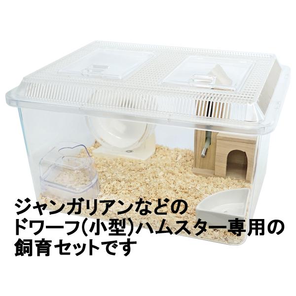 ハムスター ゲージ セット 初心者 飼育セット ハムスター ケージ セット」の人気商品一覧 | 安い商品を通販