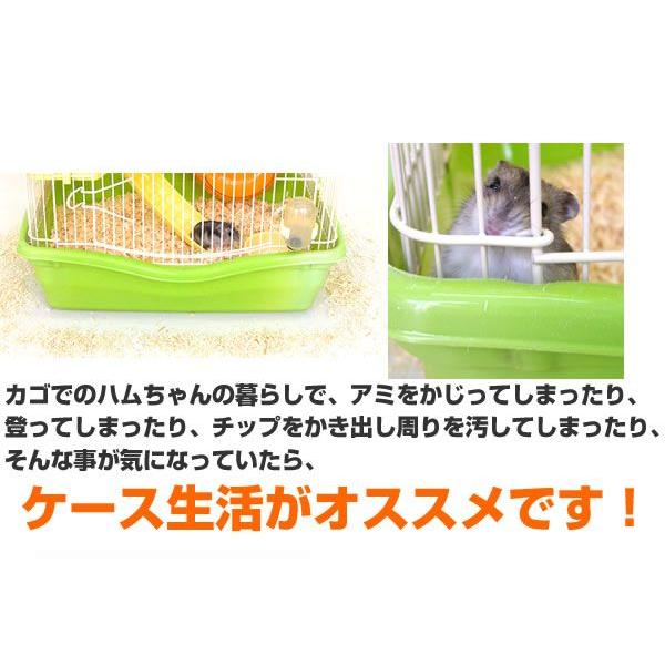 ジャンガリアンハムスター飼育セット/飼育ケース ハムスター