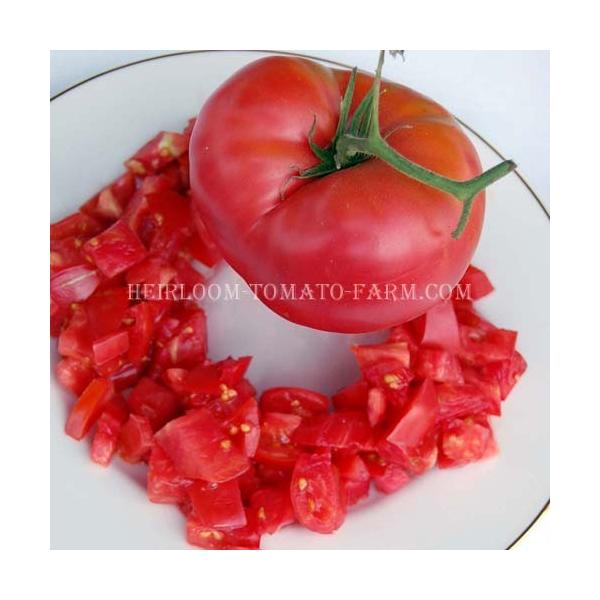 Tomato - Brandywine (Sudduth's Strain)