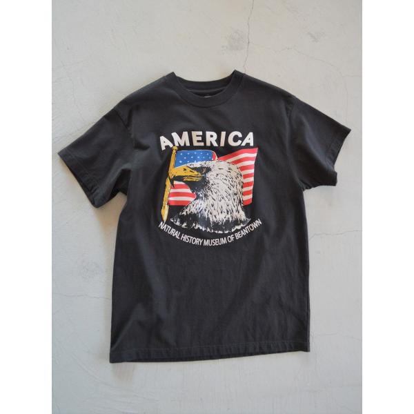 Shinzone - シンゾーン AMERICAN EAGLE Tシャツ THE SHINZONE｜ザ シンゾーン】アメリカンイーグルtee/19SMSCU90