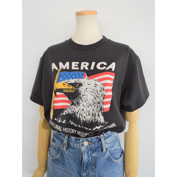 Shinzone - シンゾーン AMERICAN EAGLE Tシャツ THE SHINZONE｜ザ シンゾーン】アメリカンイーグルtee/19SMSCU90