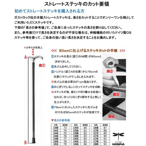 ドイツ製ガストロック / つえ ステッキ ) 高級木製杖 スタンダード