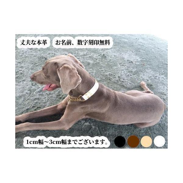 お名前、数字刻印無料 本革 ハーフチョーク首輪 大型犬 超大型犬用