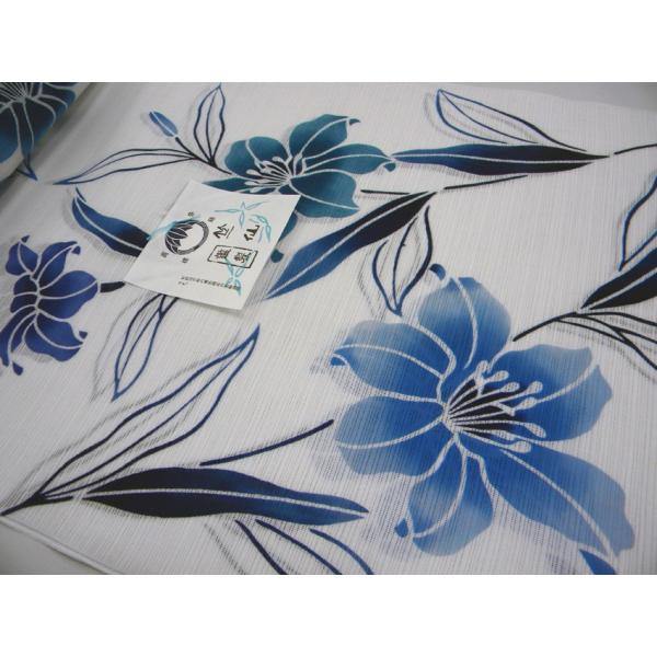 竺仙　浴衣　反物 浴衣反物（竺仙・金魚） | きもの宮下