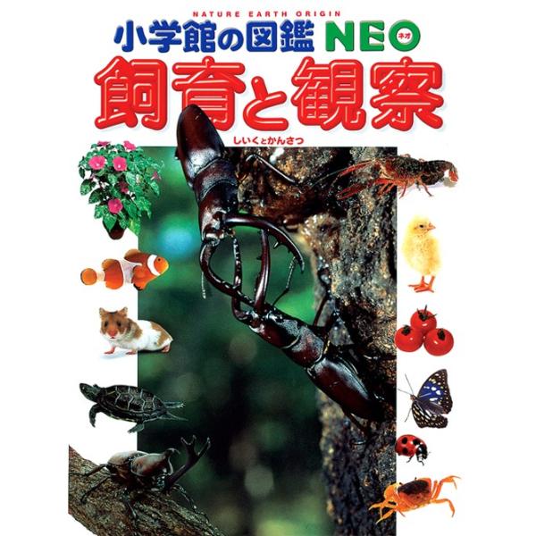 小学館図鑑NEO 小学館の図鑑NEO) ［新版］鳥 DVDつき : 枚方 蔦屋書店 Yahoo