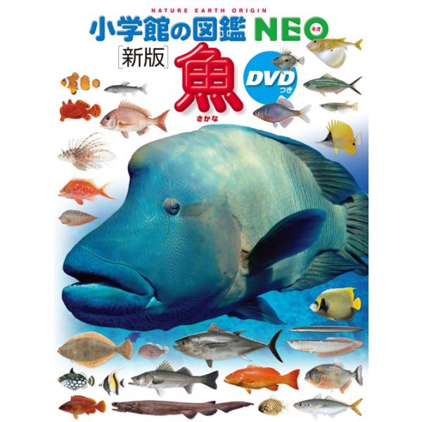 図鑑NEO DVDつきセット(既16巻) |本 | 通販 | Amazon