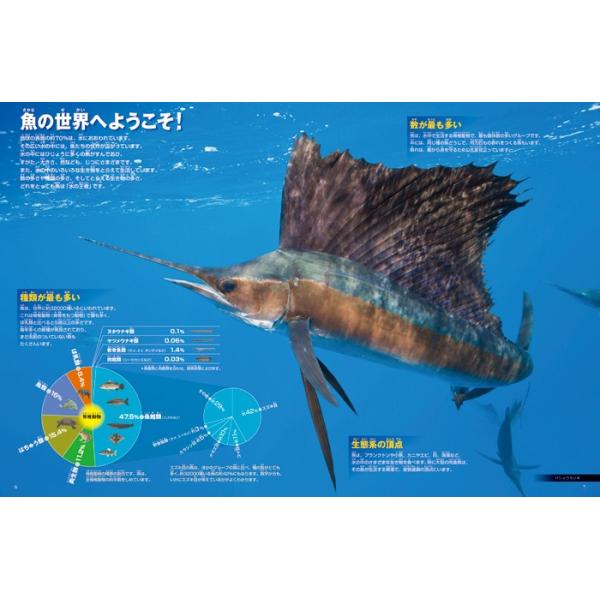 小学館の図鑑NEO) ［新版］魚 DVDつき /【Buyee】