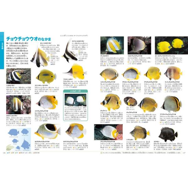 るり　小学館　図鑑　NEO 魚　他　全5冊 るり 小学館 図鑑 NEO 魚 他 全5冊 図鑑NEO_魚と水の生き物_5冊セット