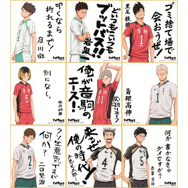 ハイキュー！！ ビジュアル色紙コレクション2 1BOX（16個入り
