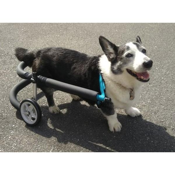 犬用車椅子歩行器中型犬用オーダーメイド2輪室内歩行補助老犬介助運動