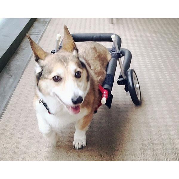 犬用車椅子歩行器中型犬用オーダーメイド2輪室内歩行補助老犬介助運動