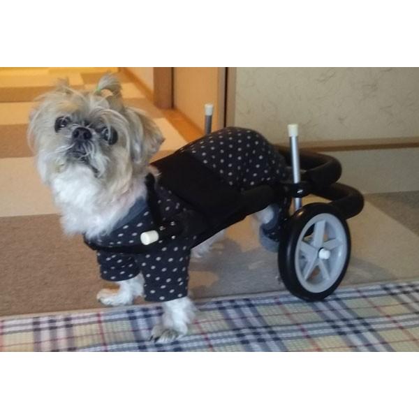犬用車椅子歩行器小型犬用オーダーメイド2輪室内歩行補助老犬介助運動 