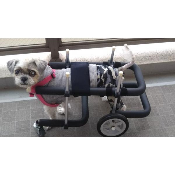 犬用車椅子歩行器小型犬用オーダーメイド4輪室内歩行補助老犬介助運動