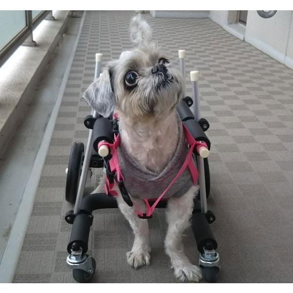 犬用車椅子歩行器小型犬用オーダーメイド4輪室内歩行補助老犬介助運動