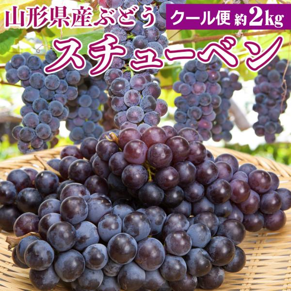 葡萄の枝様 リクエスト 2点 まとめ商品 枝様 リクエスト 2点 まとめ商品 葡萄の枝様 リクエスト 2点
