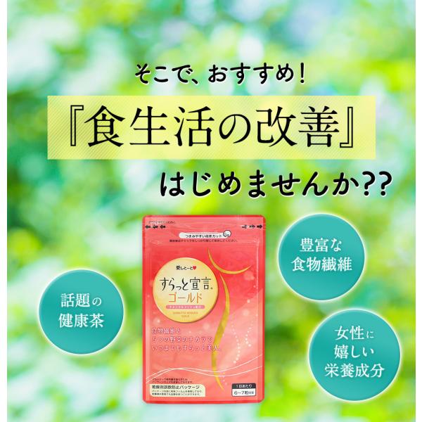 すらっと宣言ゴールド (3123) 1袋 180粒 約1ヶ月分サプリ サプリメント