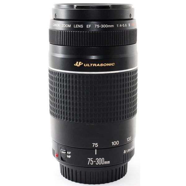 毎日更新 キャノン用 望遠ズーム EF75-300mm F4-5.6 III USM | www.cc