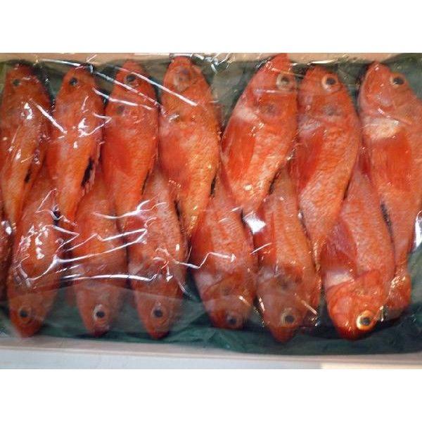 3-4人前新鮮キンキ1kg（2-4尾入り）北海道産きんききちぎ高級魚