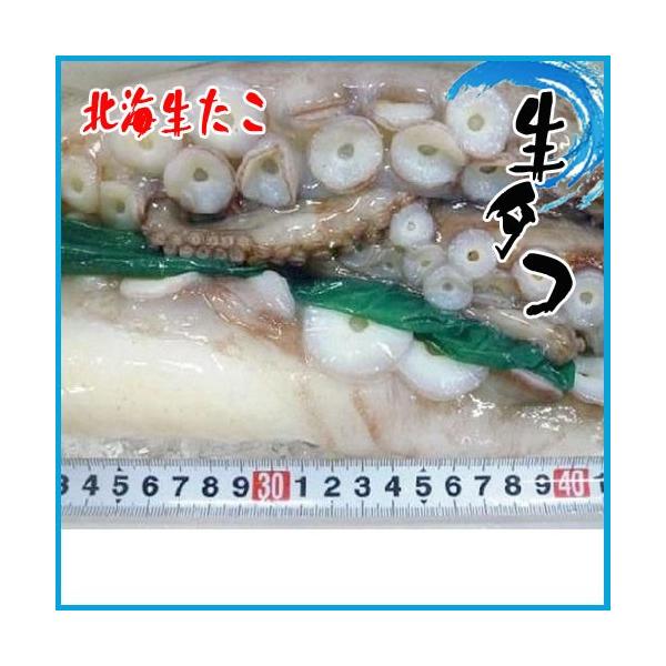 4-5人前　生タコ 北海生たこ 刺身用 約1kg タコ たこ 蛸 鮹