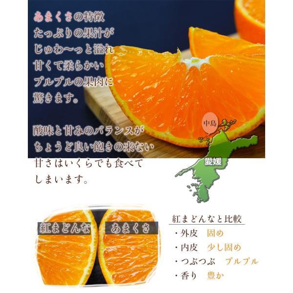 みかん あまくさ 紅まどんな の親品種 家庭用 大きさお任せ 約2.5kg