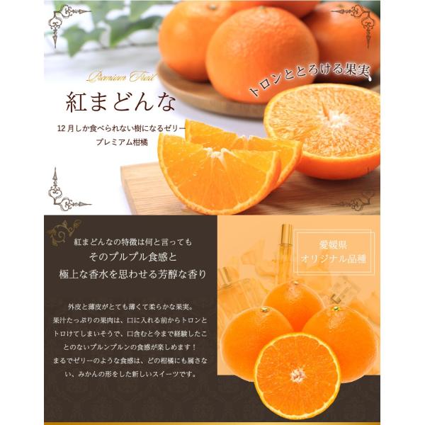 2024 訳あり 紅まどんな 家庭用 5kg ○等級 大きさお任せ 簡易